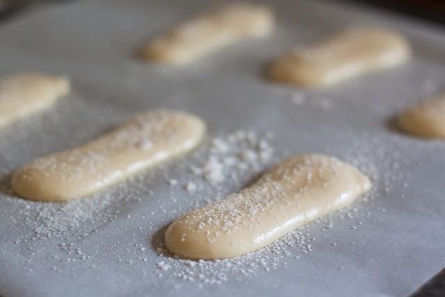savoiardi ready for the oven