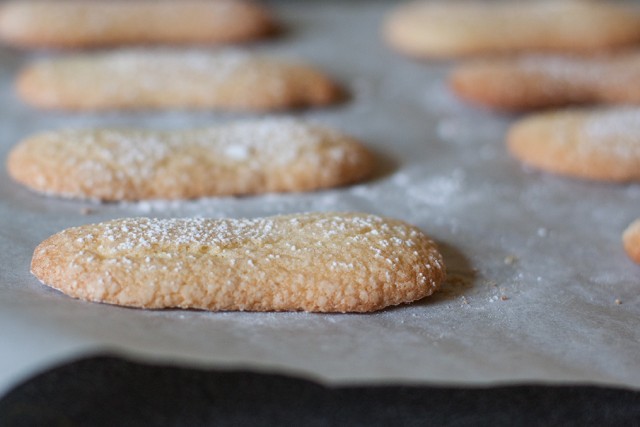 Savoiardi (lady fingers) just out of the oven