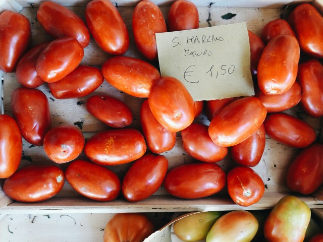 San Marzano tomatoes in Tuscany