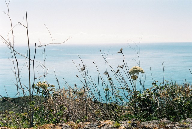 acquacotta-film-photos2