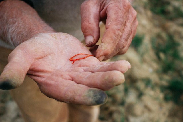 saffron threads
