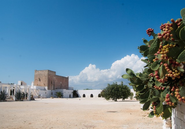 masseria-potenti