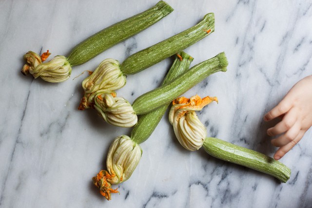 zucchine fiorentine with their flowers