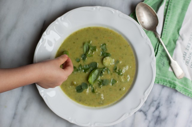 zucchini soup