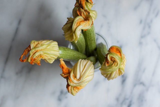 zucchini flowers attached to zucchini
